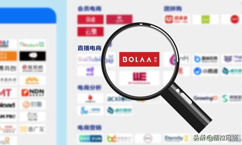 博拉網(wǎng)絡(luò) 以多項(xiàng)數(shù)字化服務(wù)領(lǐng)先優(yōu)勢(shì)，榮登中國(guó)數(shù)字營(yíng)銷生態(tài)圖